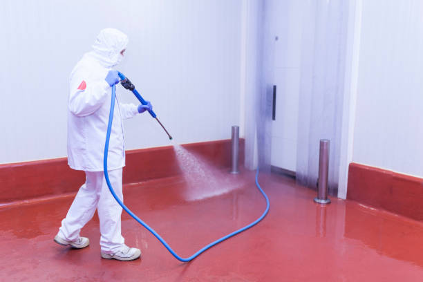 Best Driveway Pressure Washing  in Springfield, NJ